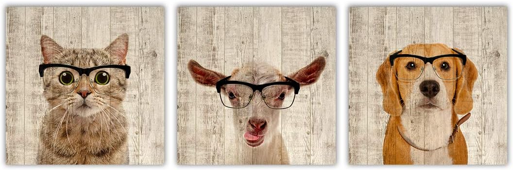 クリアランスセール Gardenia Art かわいい猫 ポートレート 写真 動物絵画 ホームデコレーション リビングルーム用 ウォールアート ペットショップの動物園 新商品 Www Iacymperu Org クリアランスセール Gardenia Art かわいい猫 ポートレート 写真 動物絵画 ホームデコレーション リビングルーム用 ウォールアート ペットショップの動物園 新商品 Www Iacymperu Org