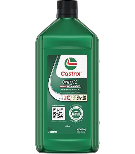 Castrol Go! 2T Two Stroke Motor Oil 500ml : Amazon.ca: Automotive