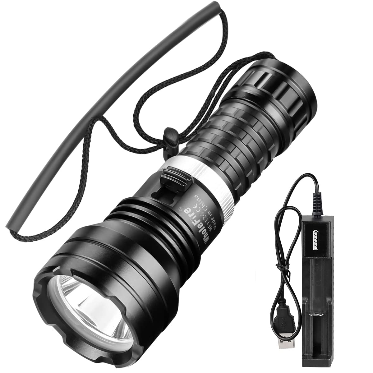 Land & Sea Abyss X-Intense LED 100m Dive Torch main image 0
