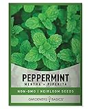Gardeners Basics, Peppermint Seeds for Planting is