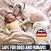 Pet Collar Pest Control Collars with Essential Oil Prevention for Dogs and Puppies with Natural Extracts 8 Month Protection Dog Treatment 25 inches One Size Fits All