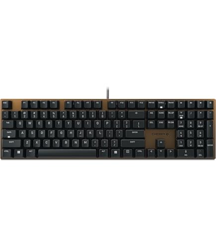 BLACK ＆Cherry CHERRY MX 10.0N RGB Keyboard backlit USB US key switch CHERRY MX