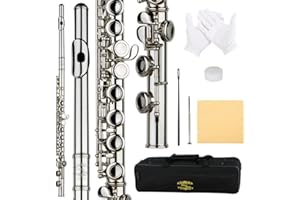 Glory Closed Hole C Flute for Band, Orchestra, Closed Hole Flutes 16 Keys C Flute