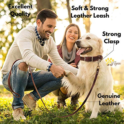 ADITYNA Leather Dog Leash 6 Foot x 3/4 inch - Soft and Strong Leather Leash for Large and Medium Dogs - Dog Training Leash (Brown) - Thumbnail 2