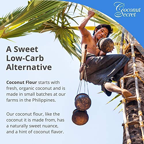 Coconut Secret Raw Coconut Flour - 1 lb - High Fiber, Unheated, Unbleached, Unrefined Grain Flour Alternative - Organic, Vegan, Non-GMO, Gluten-Free, Kosher - 32 Servings