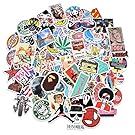 Stickers [100 pcs], Breezypals Laptop Stickers Car Motorcycle Bicycle Luggage Decal Graffiti Patches Skateboard Stickers for Laptop - No-Duplicate Sticker Pack