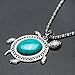 Diamondo Women Tortoise Silver Turquoise Necklace Earring Bracelet Jewelry Set