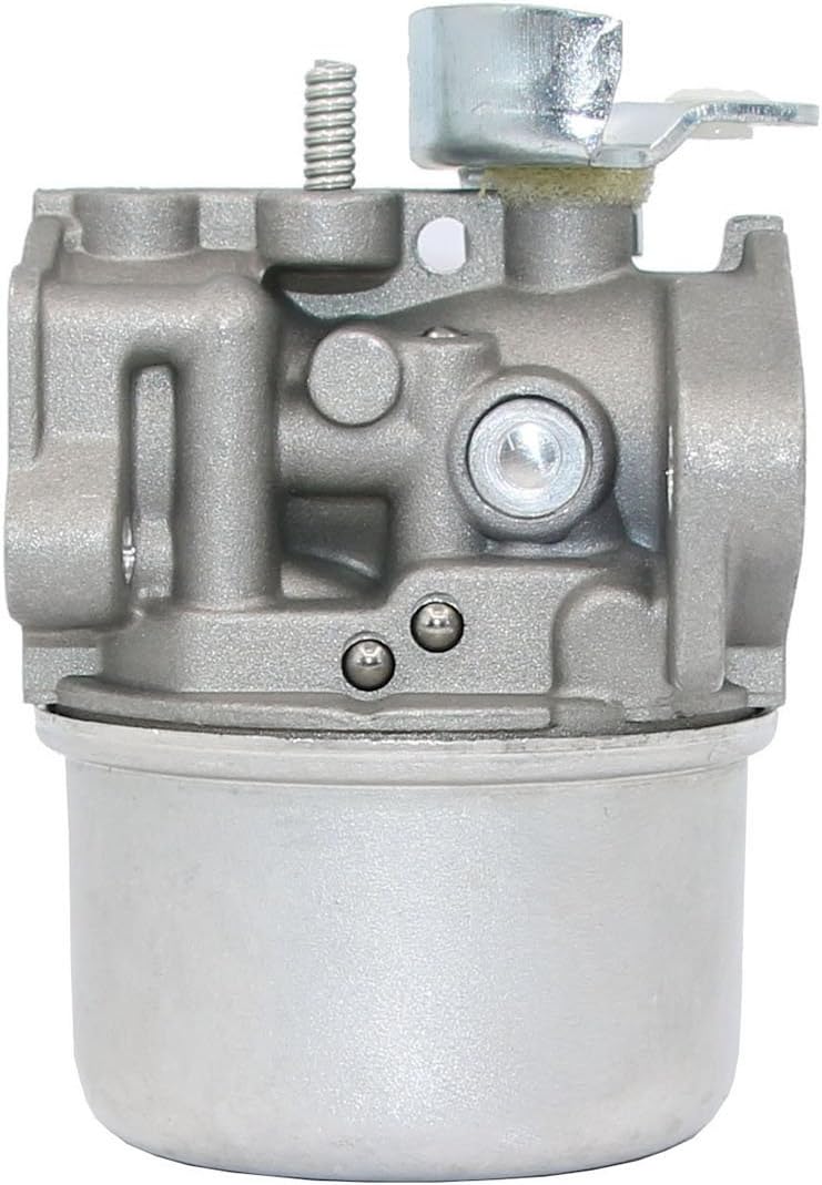 798653 Carburetor for Briggs & Stratton 696981 698860 694508 795069 698859 790180 790290 693865 697354 698474 791991 698810 698857 698478 694174 690046 693751 Craftsman 791077 Carburetor 591299 798650 : Garden & Outdoor