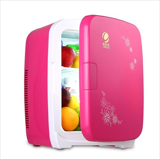 BX Mini Nevera Refrigerador del Coche 15L, Mini refrigerador ...