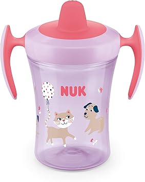 amazon nuk sippy cup