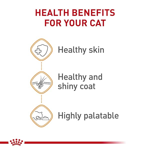 ROYAL CANIN FELINE CARE NUTRITION HAIR & SKIN CARE ADULT CHUNKS IN GRAVY CAT FOOD, 3 OZ
