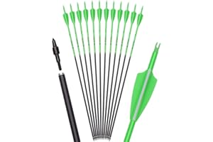 Archey World 28 30 Inch Carbon Arrow Targeting and Practice and Hunting Arrows for Youth Adults Compound Recurve Long Bow wit