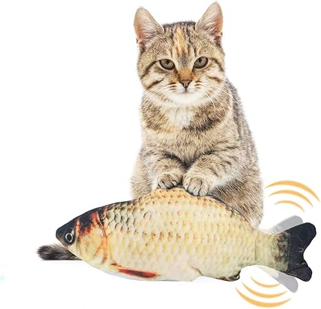 Ekkong Cataire Jouets Poisson Cataire Chat Jouets Chat Jouet En Peluche Simulation Poissons En Peluche Jouet Interactif Pour Chat Pour Kitty Chaton Type A Amazon Fr Animalerie