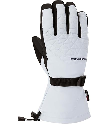 Amazon.com : Dakine Womens Eclipse Gore-Tex Gloves - Black, X