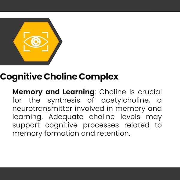 COGNISYNC NOOTROPIC BRAIN HEALTH SUPPLEMENT 60CT, 12 POWERFUL INGREDIENTS, LION’S MANE, ALPHA-GPC, COGNITIVE ENHANCEMENT, BRAIN FOG SUPPORT, MEMORY SUPPORT, SMART DRUG ALTERNATIVE