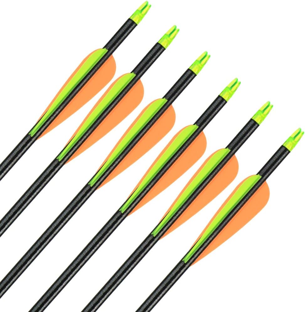 IRQ 32inch Fiberglass Arrows Targeting Practice Adjustable Nocks Screw in Replaceable Arrow Tips for Compound Recurve Bow : Sports & Outdoors