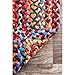 nuLOOM Tammara Bohemian Hand Braided Area Rug, Oval 4x6, Multi