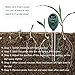 Besmon Soil Moisture Sensor Meter,Soil Test Kit Plant Moisture Meter 3-in-1 Soil pH Tester for Plant Care,Gardening, Farming, No Batteries Required