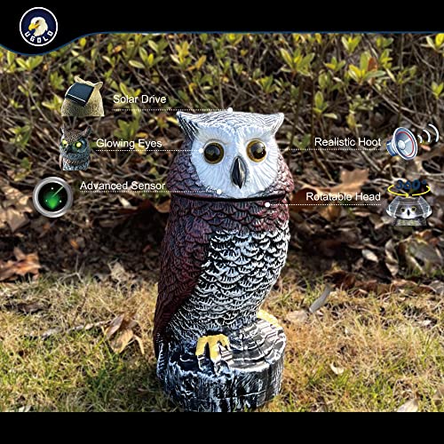 Ugold Solar Powered Garden Owl with Detection, Flashing Eyes, Rotating