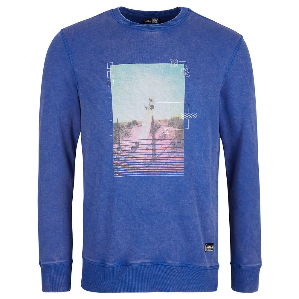 O'NEILL Surfboard Crew Sweatshirt, 15013 Surf The Web Blue, Regular (Pack of 2) for Men