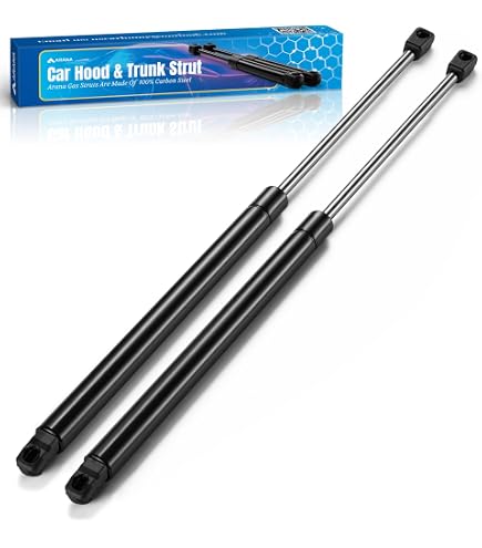 Amazon.com: ARANA Rear Hatch Trunk Struts Lift Support for 2010