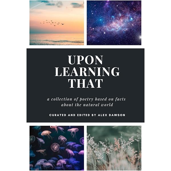 洋書 China, United States, and Southeast Asia The United States and China — Harvard University Press