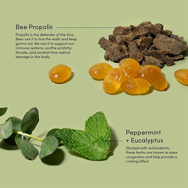BEEKEEPER’S NATURALS SOOTHING MINT EUCALYPTUS COUGH DROPS, IMMUNE SUPPORT WITH VITAMIN D, ZINC AND PROPOLIS, COOLING & THROAT SOOTHING LOZENGES, 14 CT