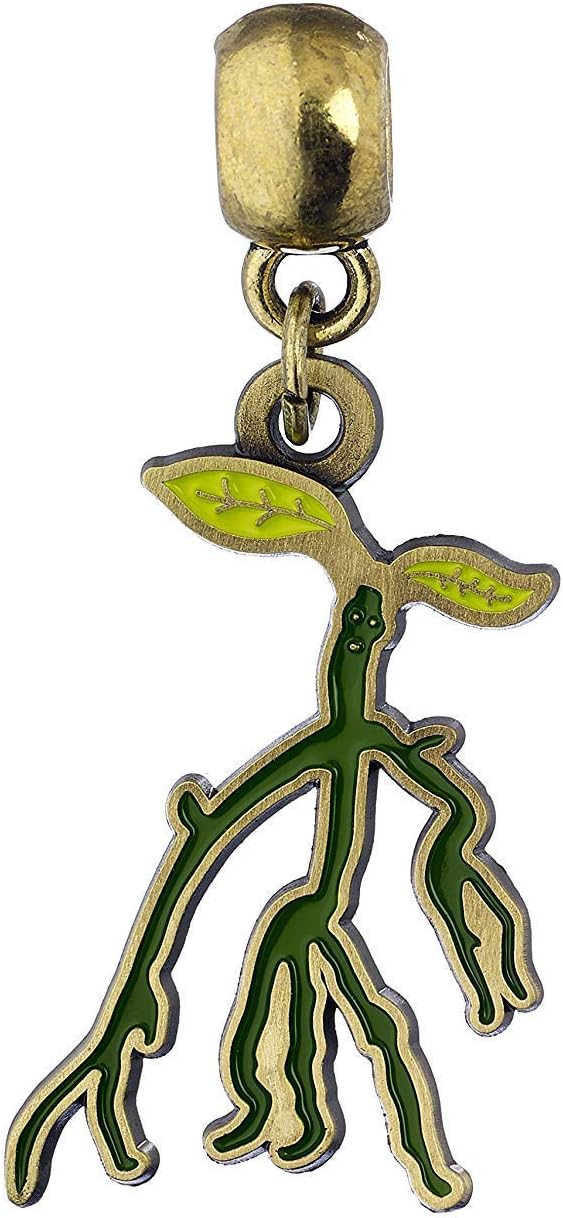 Fantastic Beasts Official Licensed Jewelry Slider Charms