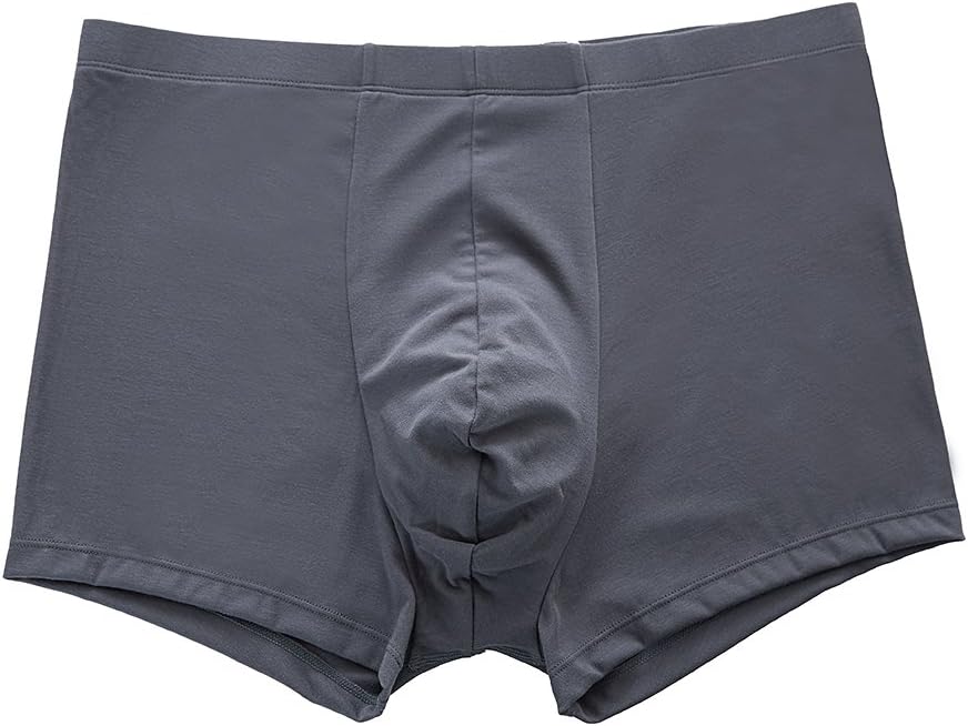WHIZZ Men's 3-Pack Underwear Micro Modal Breathable CEO Boxer Briefs, Grey