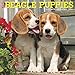 Just Beagle Puppies 2019 Wall Calendar (Dog Breed Calendar)