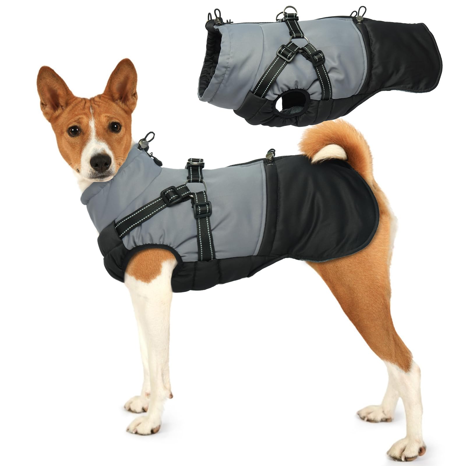 Hjumarayan Dog Coat with Harness, Underbelly Coats with Back Zip Reflective Jacket Winter Fleece, Water Resistant and Warm Clothes for Small Dogs, Black M