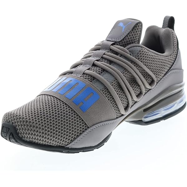 puma cell regulate winterized