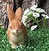 Wonky Hill Miniature Fairy Garden Starter Kit- Fairy Willow 3 Piece Accessory Garden Set