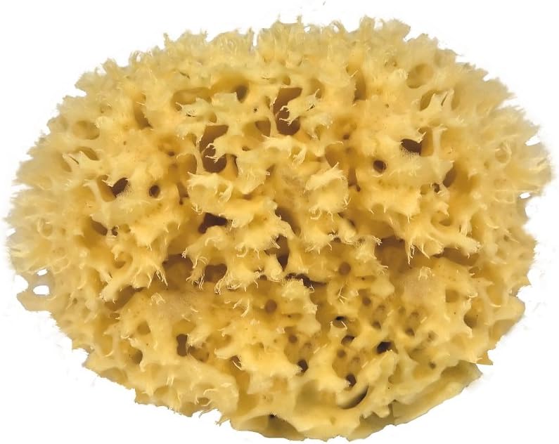 Croll & DeneckeNatural sponge Honeycomb 9 cm