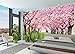 GREAT ART Large Photo Wallpaper – Cherry Blossom Tree – Picture Decorative Spring Landscape Avenue Cherry Blossoms Sakura Bloom Flowers Image Decor Wall Mural (132.3x93.7in - 336x238cm)