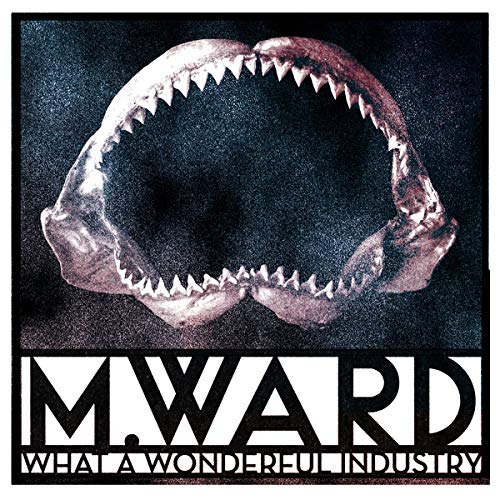 Album art for What a Wonderful Industry by M. Ward