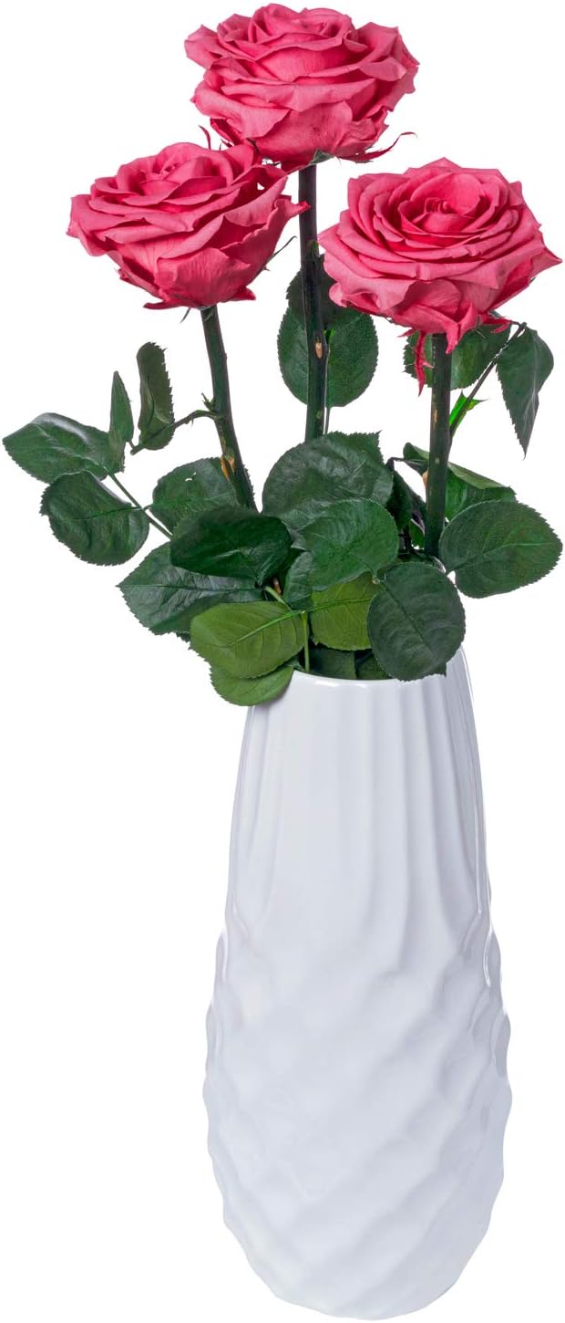 Eternity Real Preserved Long Lasting Rose Forever Eternal