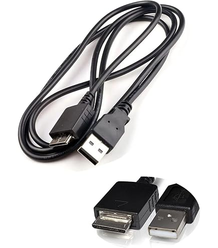 Câble USB De Charge Et Synchronisation Pour Sony Walkman NW-A25/27/45/ZX300 Etc. - Longueur 1 Mètre