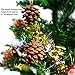 Coobey 24 Pieces Pine Cones Ornament Natural PineCones With String Pendant Crafts for Gift Tag Tree Party Hanging Decoration (Natural)