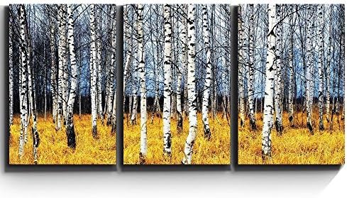 3 Piece Canvas Print - Contemporary Art, Modern Wall Decor - Beautiful Aspen Trees Fall colors - Giclee Artwork - Gallery Wrapped Wood Stretcher Bars - 16"x24"x3 Panels