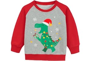DDSOL Toddler Boy Christmas Sweatshirt Ugly Xmas Raglan Long Sleeve Shirt Santa Elk Kids Dinosaur Holiday Sweater Tops 2-7T