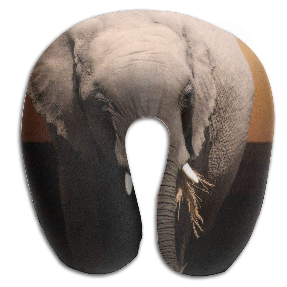 Best Mega Bloks  Elephant Parade Building Set  Multicolor