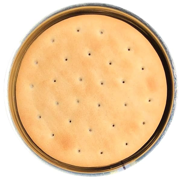 FUTURE ESSENTIAL SAILOR PILOT BREAD CRACKERS | SHIP’S BISCUIT | HARDTACK | EMERGENCY SURVIVAL FOOD | 30 YEARS SHELF LIFE | READY TO EAT #2.5 CAN SIZE (SINGLE CAN),12 SERVING PER CAN, MADE IN THE USA