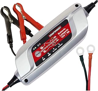 Dino-Kraftpaket Kraftpaket 12V 5A 8-Schritt 136300