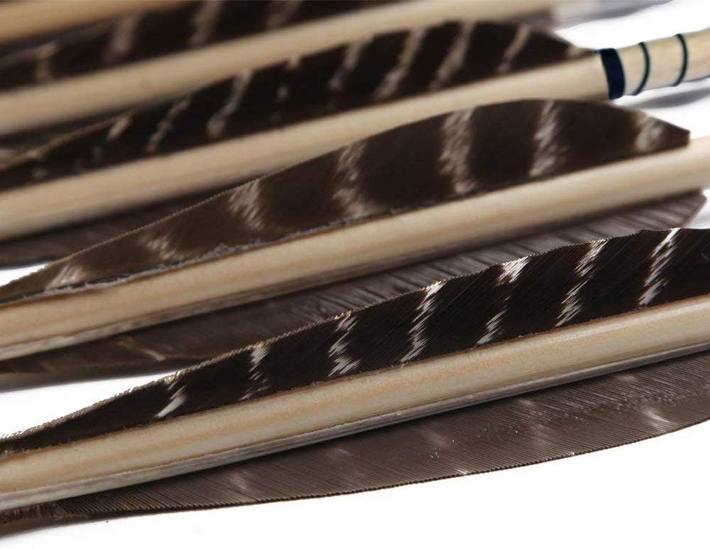 Huntingdoor 12 Pcs Turkey Feather Fletching Wooden Arrows Archery Target Arrows with Field Points for Recurve Bow or Longbow Targeting Practice Shooting (Nature) : Targeting Arrows : Sports & Outdoors