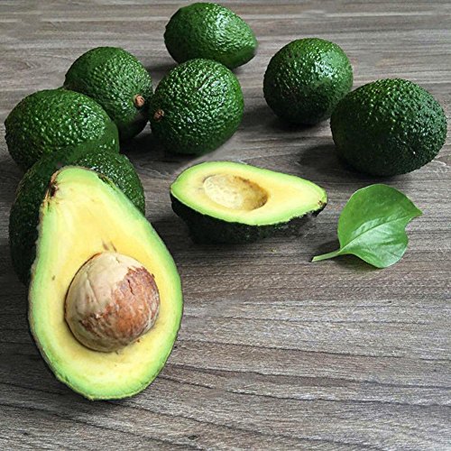 Afco 10Pcs Avocado Seeds Green Fruit Persea Americana Home Garden Plant Easy To Grow Wonderful Gardening Gifts - Thumbnail 4