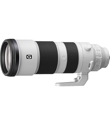 150-600mm F5/-6.3 DG DN for Sony E Black : Amazon.ca: Electronics