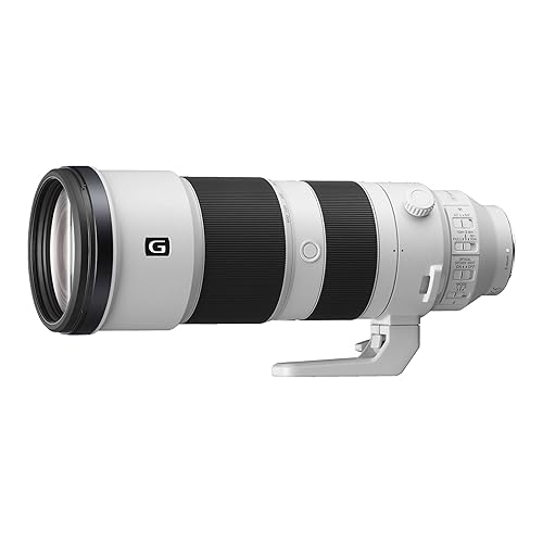 Sony 200-600mm G OSS E-Mount Super-Telephoto Zoom Lens - Main Image