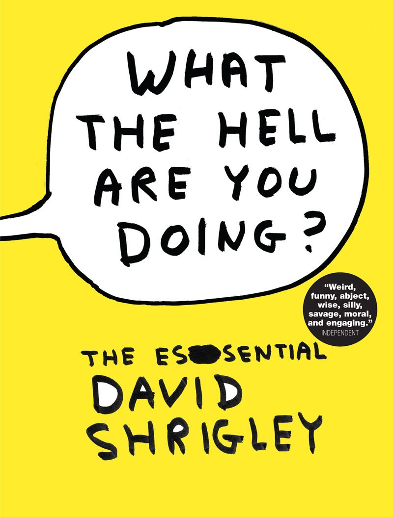 What the hell is bad. David shrigley. david shrigley работы. what the hell are you doing?. what the hell перевод.