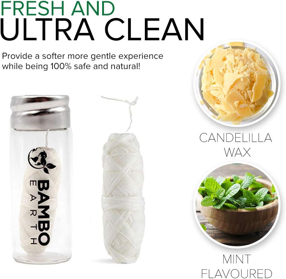 Biodegradable Mint Dental Tooth Lace Floss with Refillable & Reusable Container Holder - Image 3